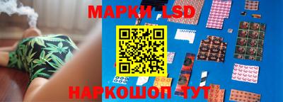 эйфоретик Гатчина