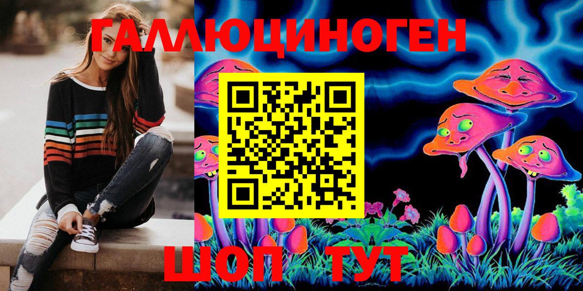 Галлюциногенные грибы MAGIC MUSHROOMS  Вход с VPN  Заводоуковск 