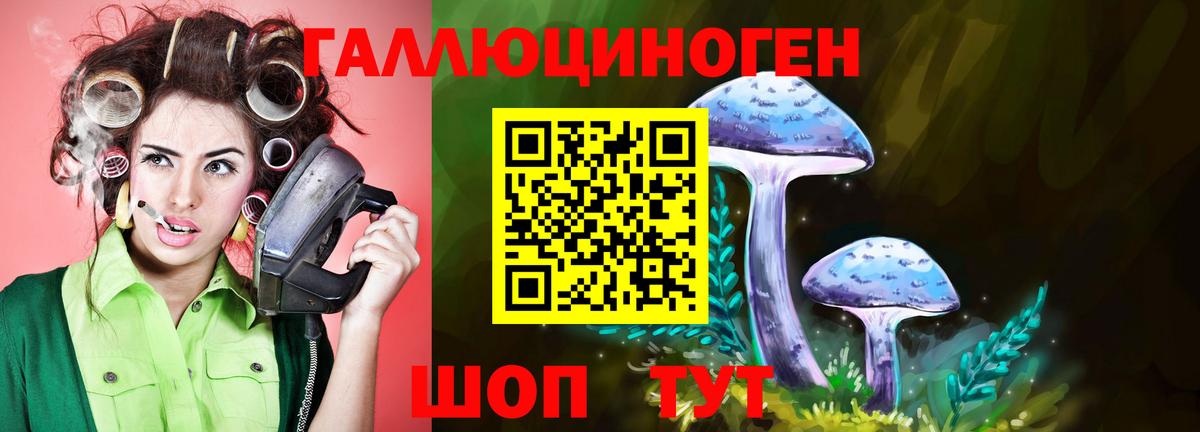 Галлюциногенные грибы мухоморы Заводоуковск